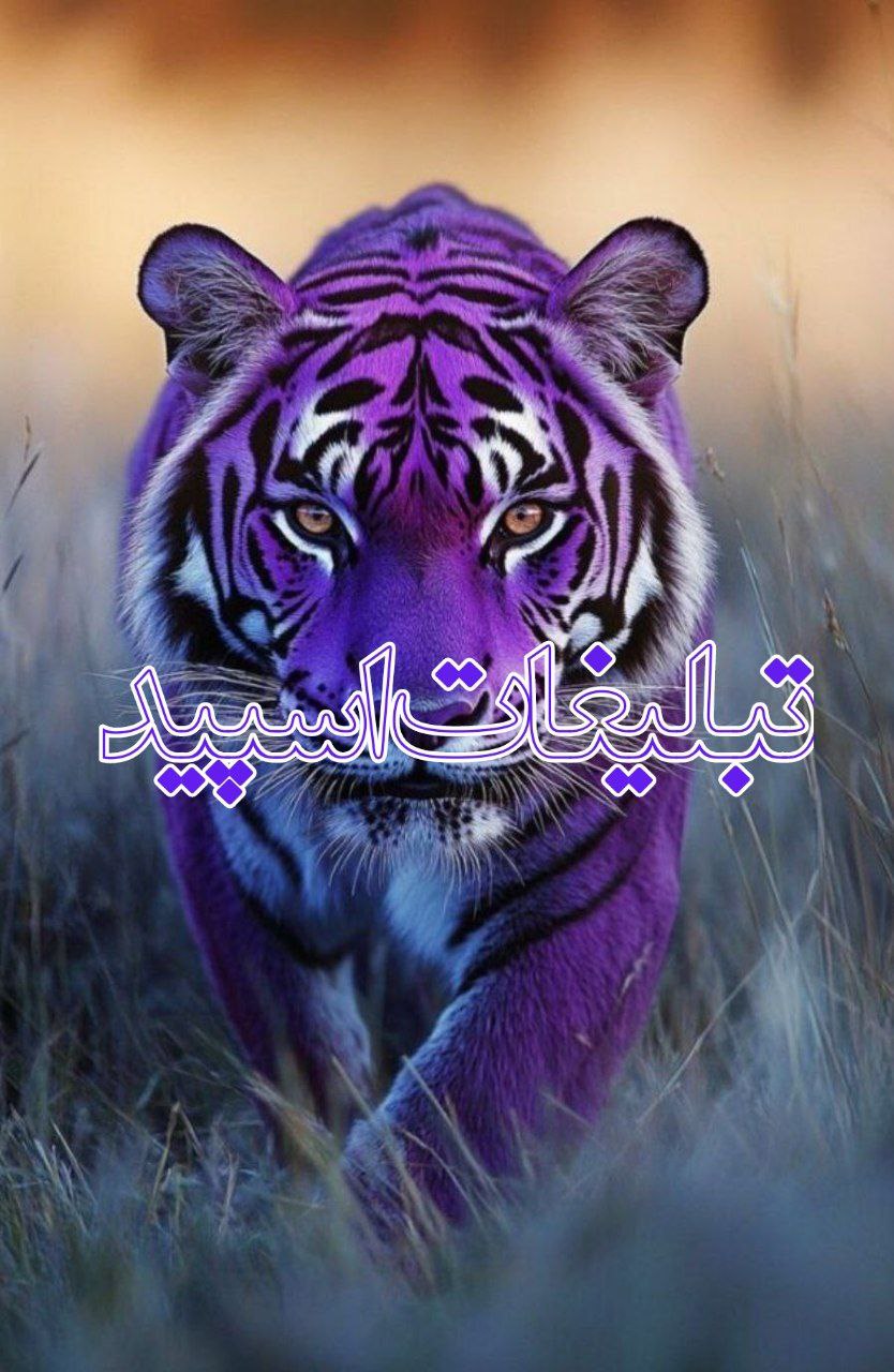 وایلد ولف (87)