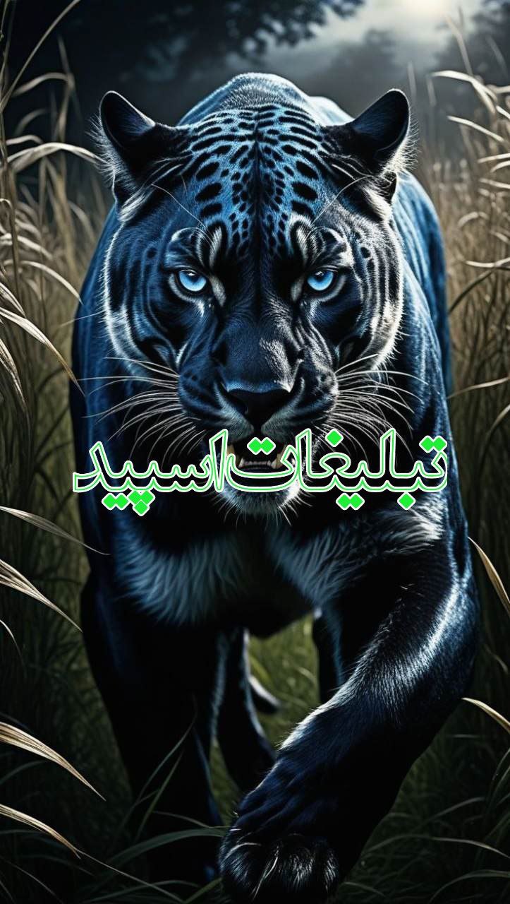 دریای ارامش (2)