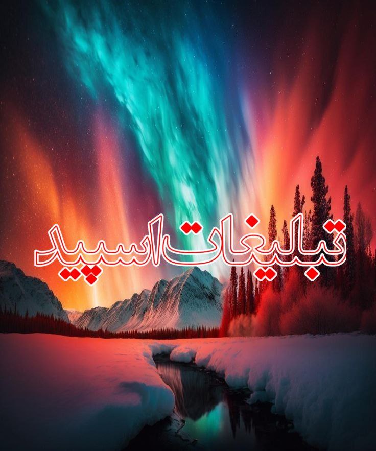 وایلد ولف (6)