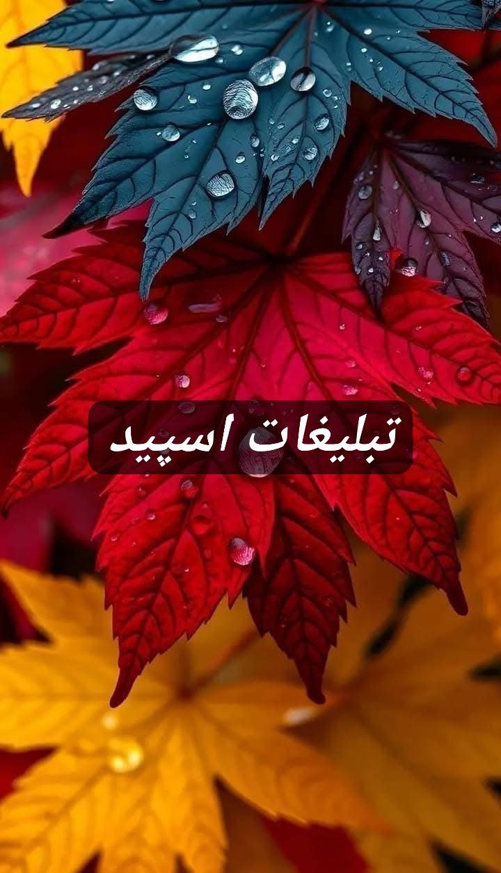 گروه تلگرام کوچه یخاطرات