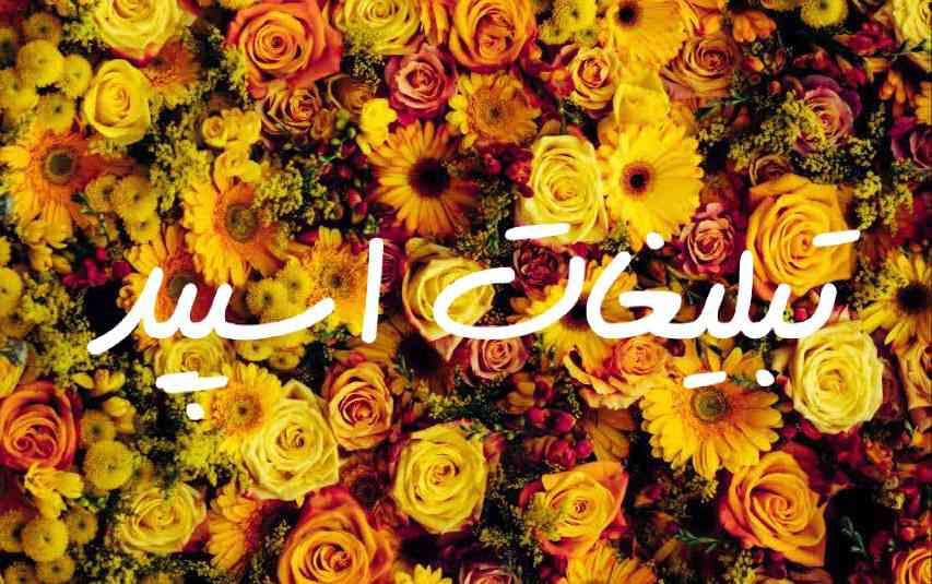 گروه چت تلگرام دورهمی دوستان خوب