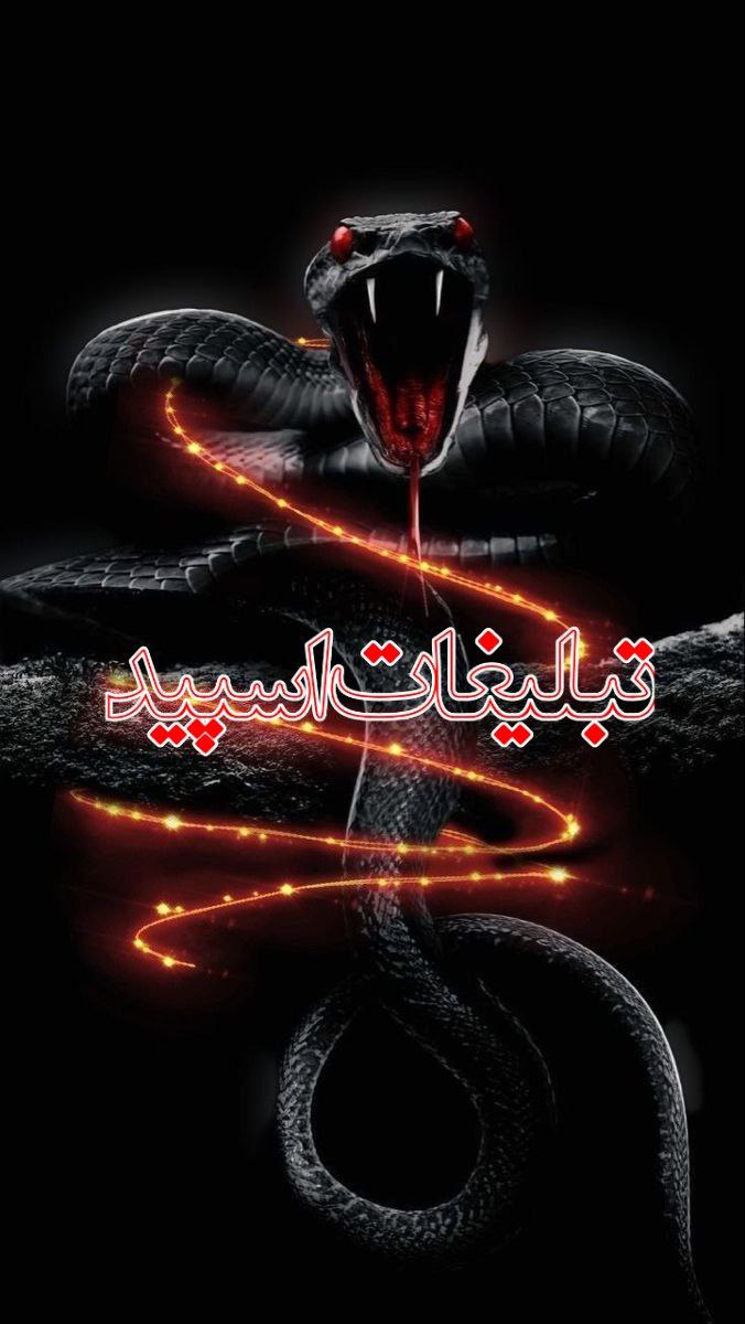 وایلد ولف (12)