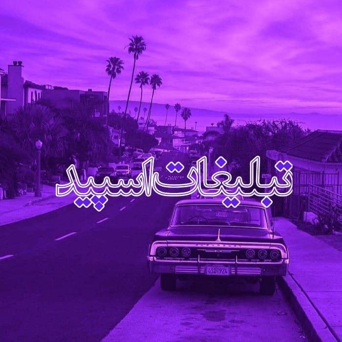 وایلد ولف (8)