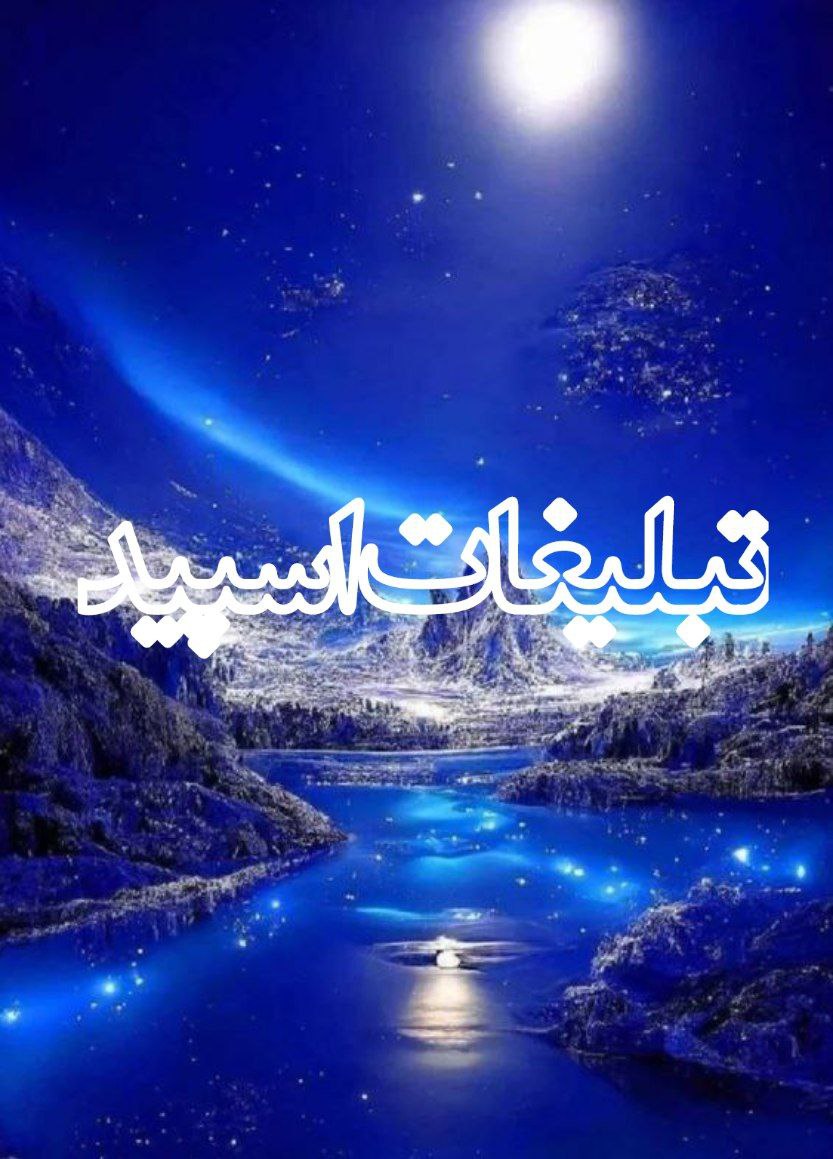 وایلد ولف (226)