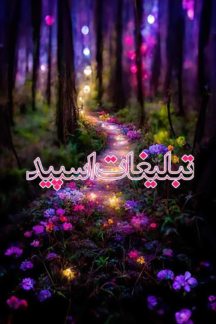 وایلد ولف (246)