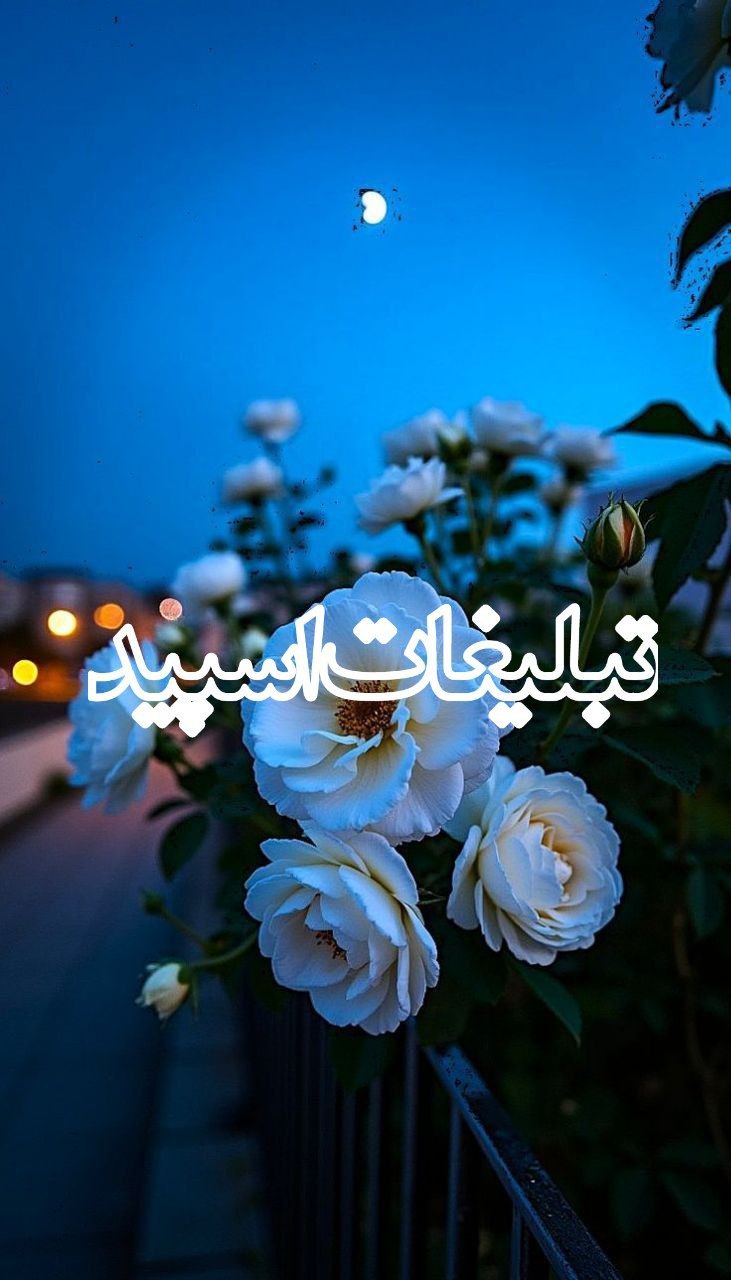 مکزیکوسیتی (1)