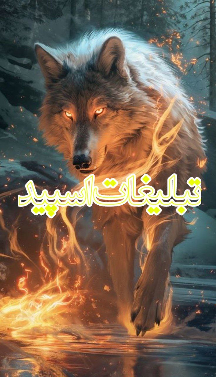 🩵 DOSTAN MANDEGAR 🩵 (14)