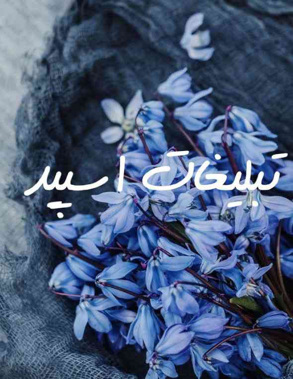 گروه چت تلگرام امپراتور