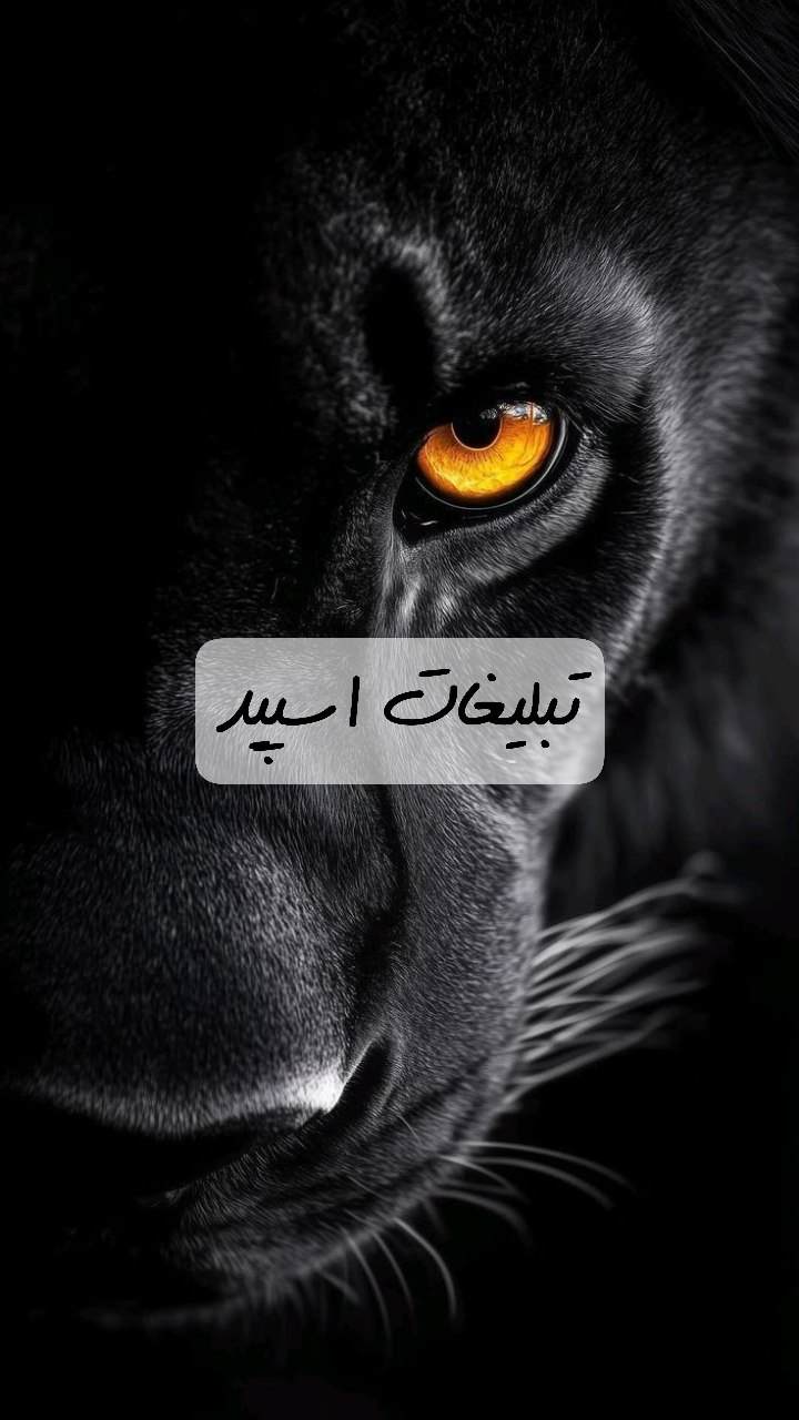 گروه تلگرام کافه چت رشت