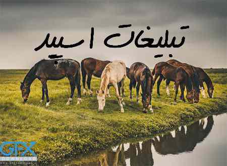 گروه چت تلگرام ولیدولف رفقای کرج