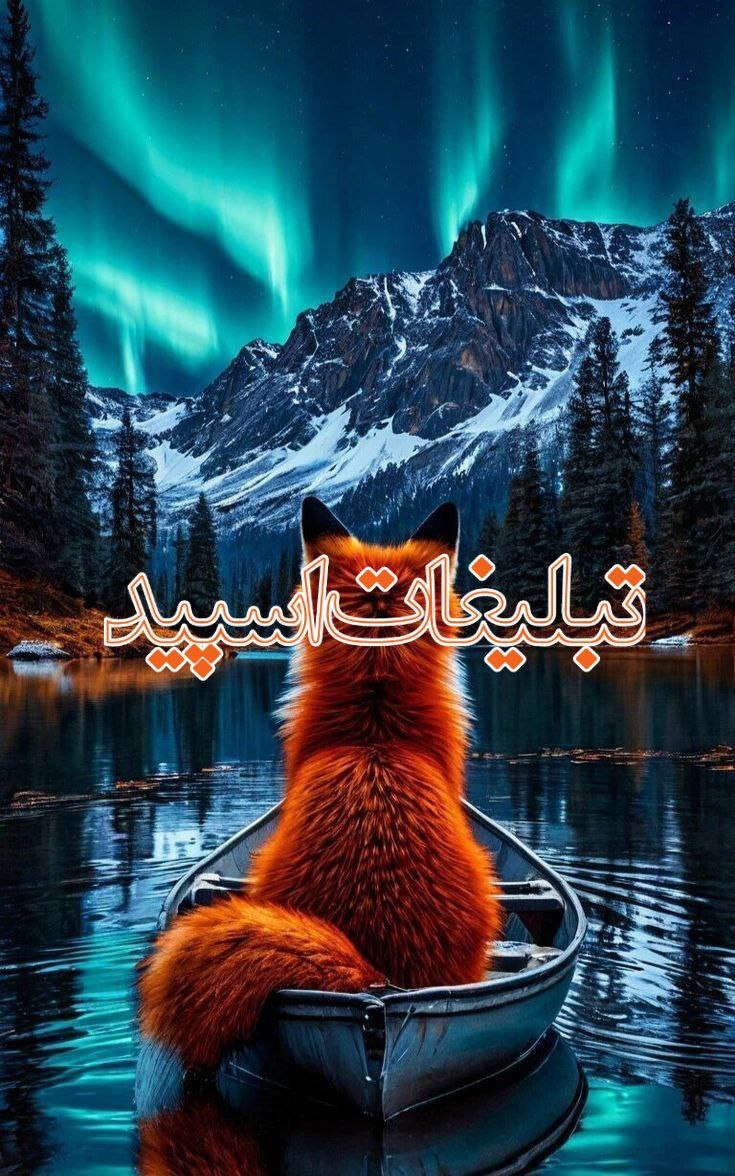 گرگ های ایرانی (10)