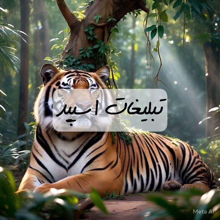 گروه تلگرام دختران شیطون میناب