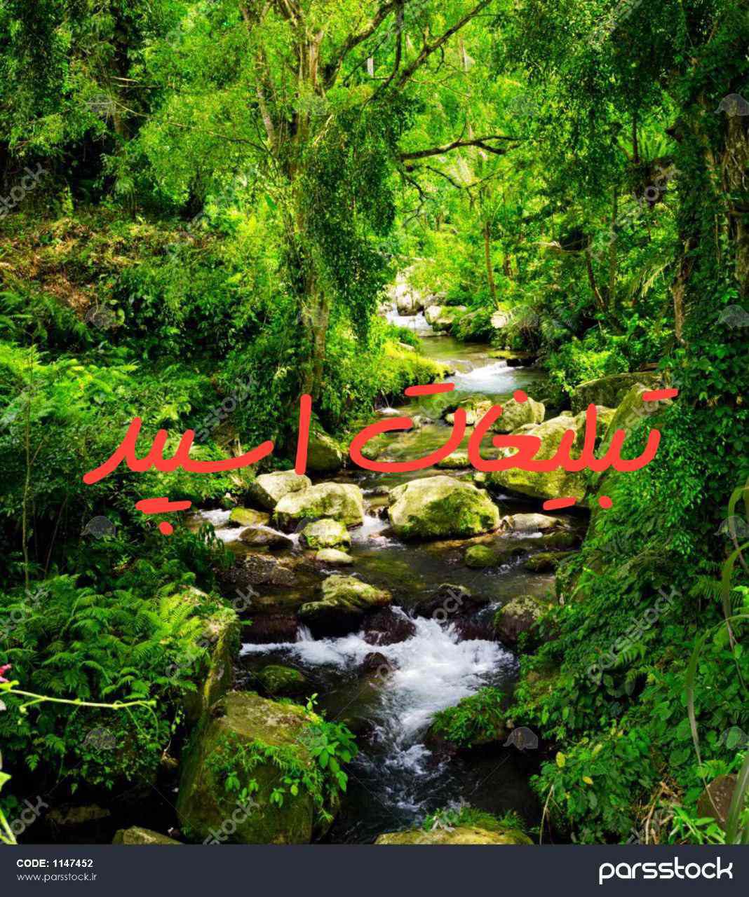 کانال واتساپ آشپزی