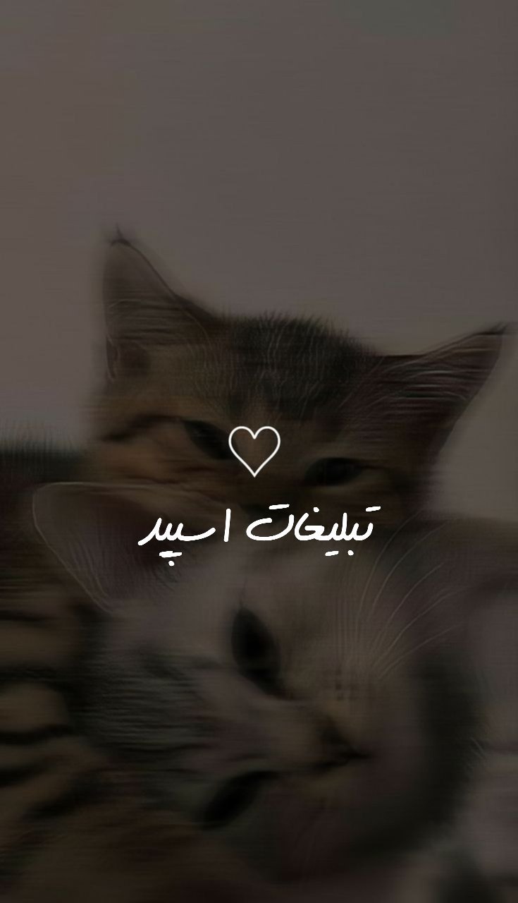 گروه تلگرام پاتوق دوستان