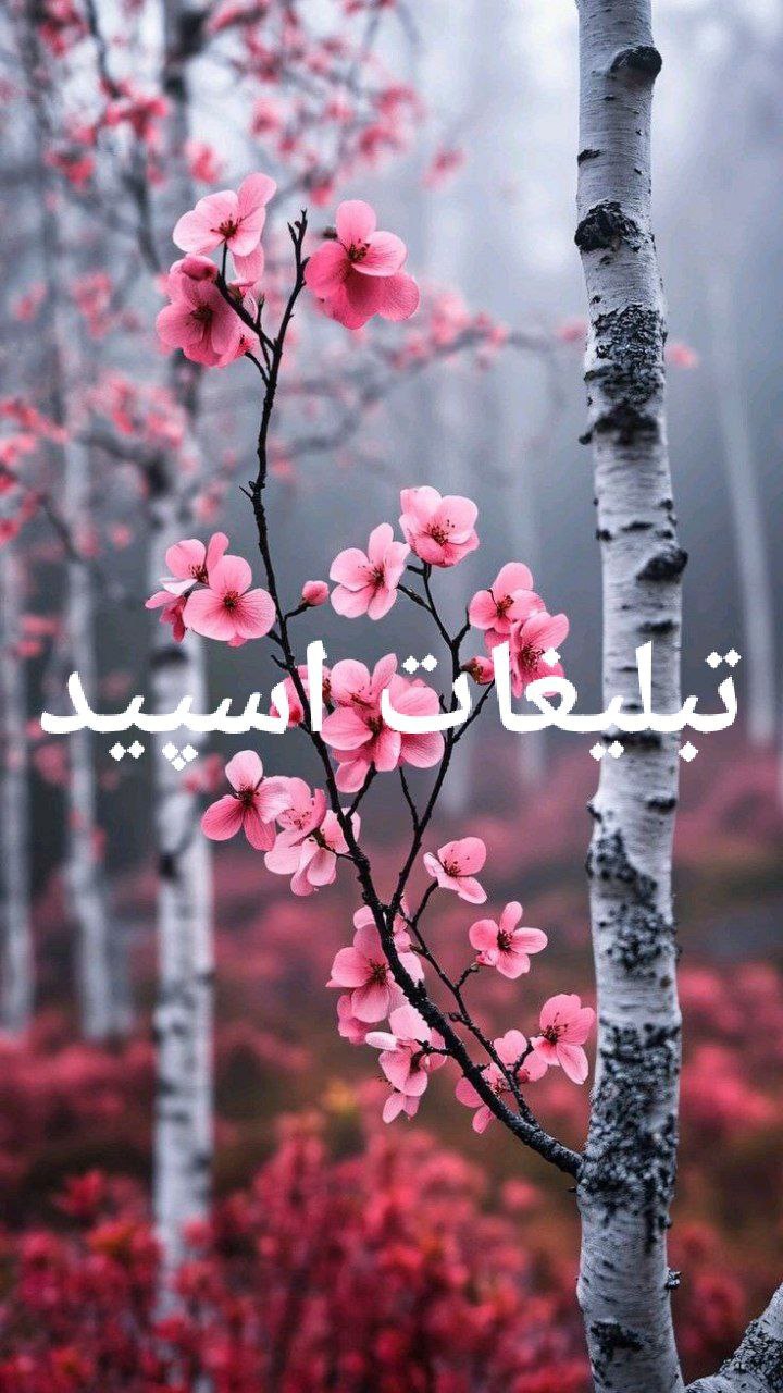 گزوه تلگرام  💠༄⁷⁷⁷x᭄ᏟᏆͲᎽ💠