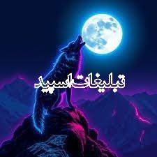 وایلد ولف (7)