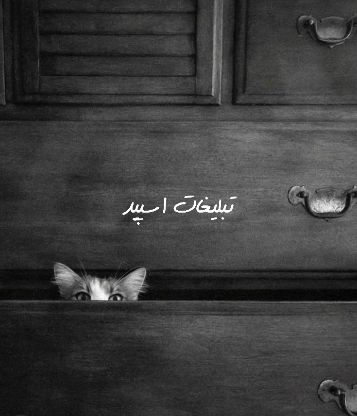 چتکده تلگرام کافه روناک 