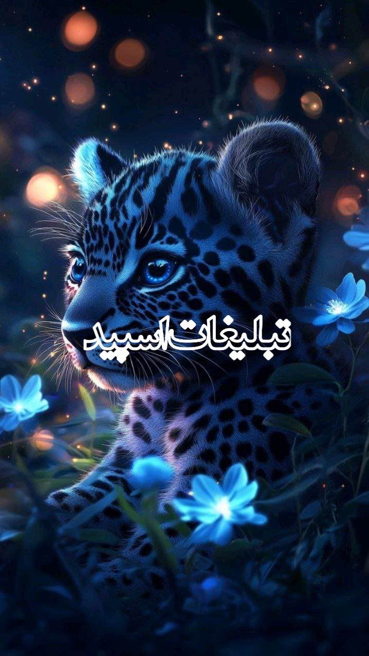 گپ ایرانی وایلد ولف⚡️