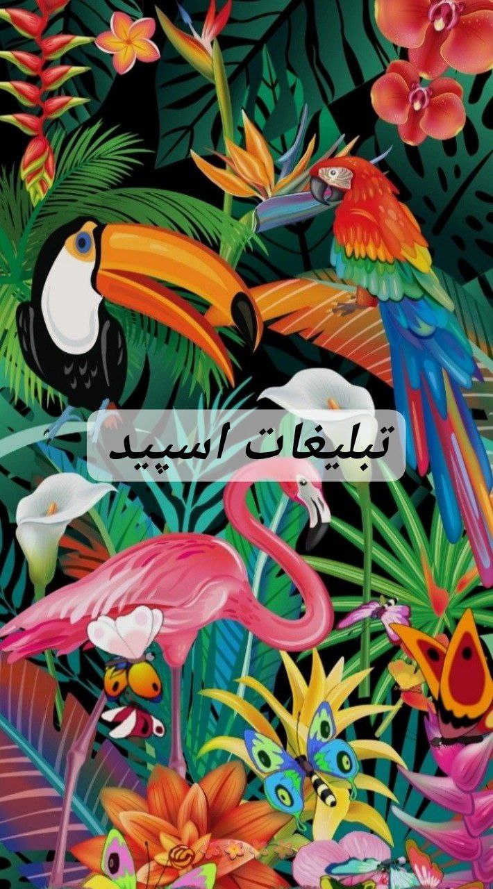گپ تلگرام کلبه مهربونا
