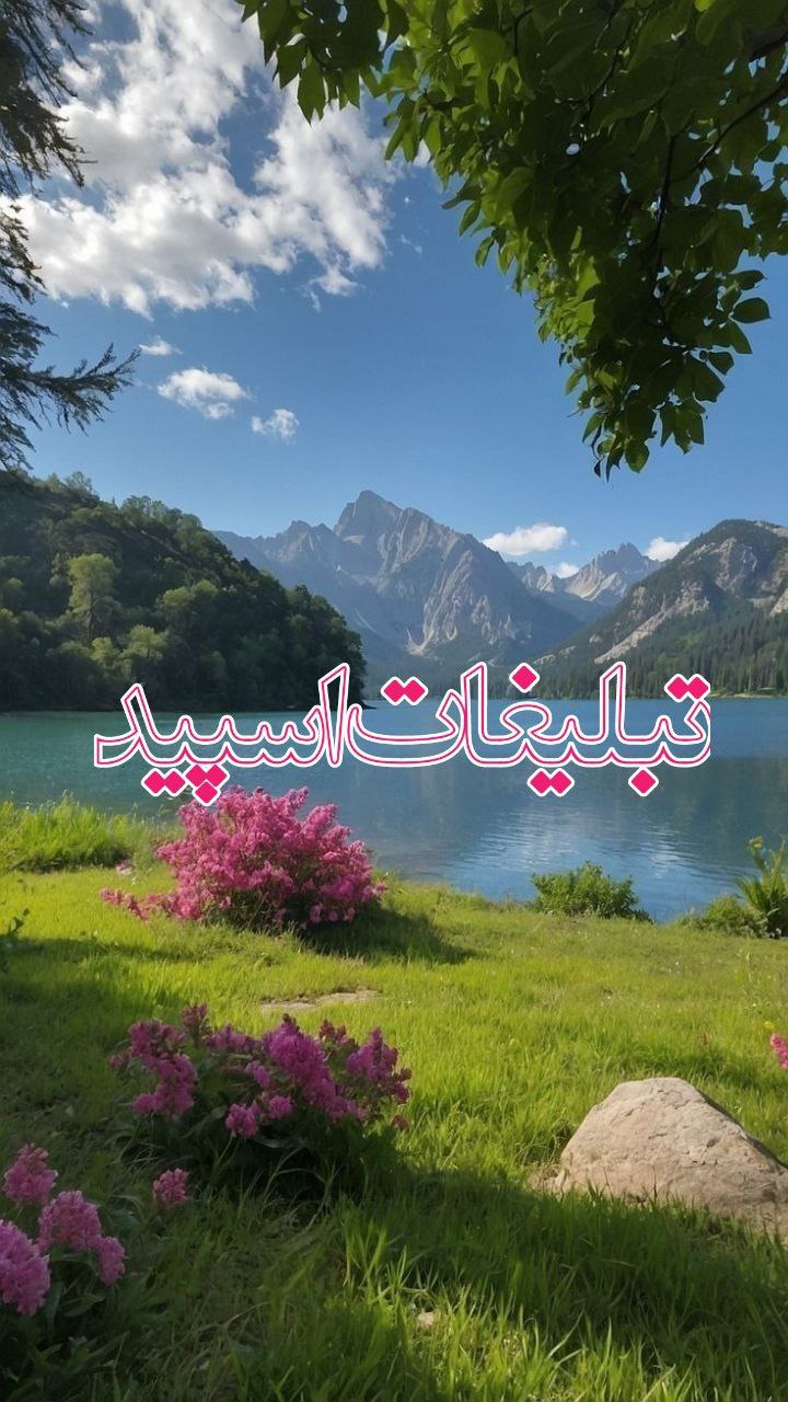 وایلد ولف (16)