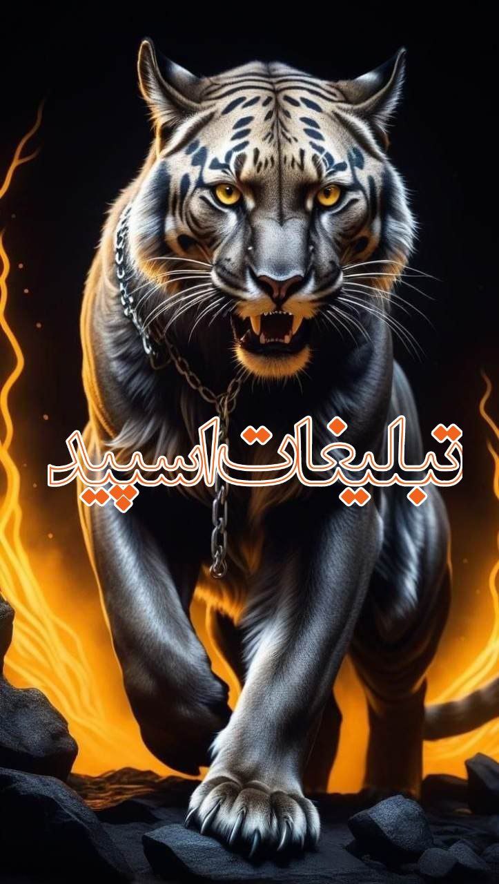 ⎯꯭᪵̽𝆺꯭𝅥𝐖𝐈𝐋𝐃𓆩᪵🜲꯭𓆪̥𝐖𝐎𝐋𝐅⎯꯭꥓᪵ͯ⟶ (135)