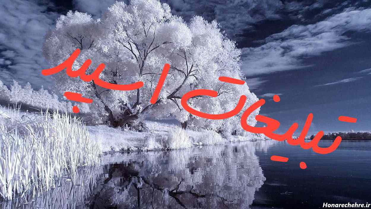 کانال سروش پروفایل فانتزی پرنسس من باش