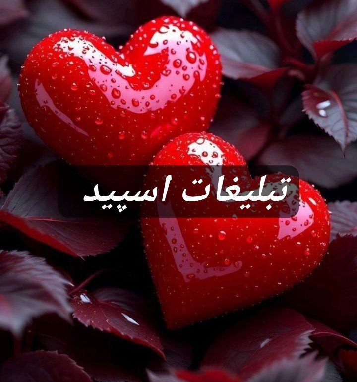 گروه تلگرام فشن سیتی