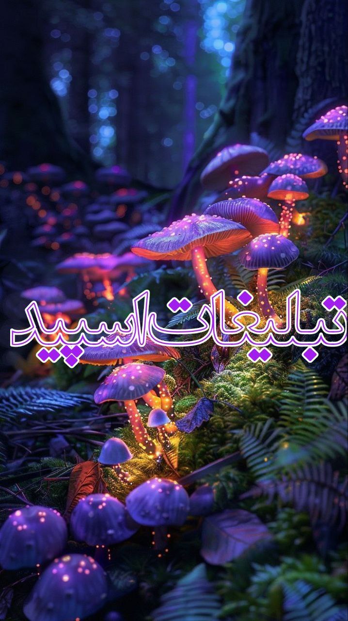 محفل خوبان (9)