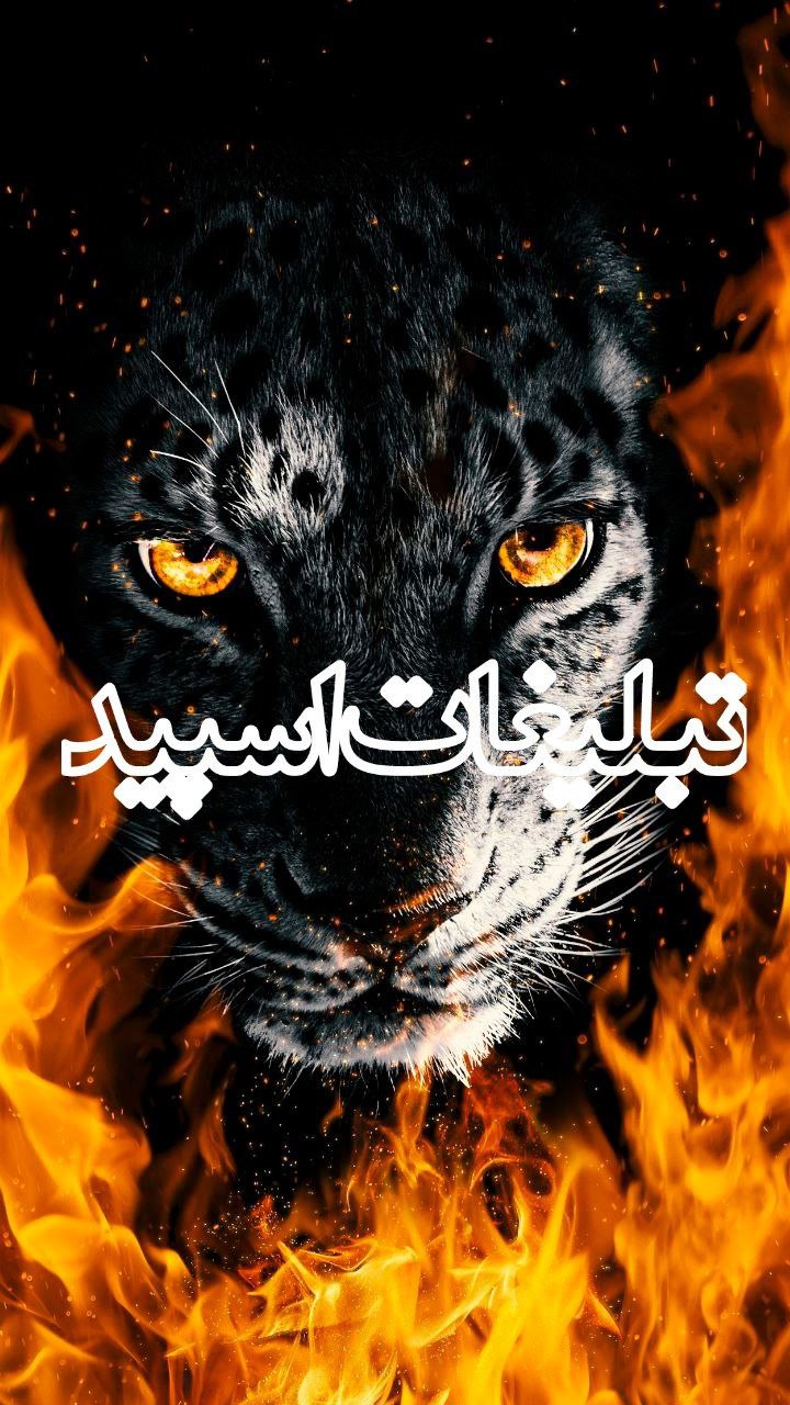 ⎯꯭᪵̽𝆺꯭𝅥𝐖𝐈𝐋𝐃𓆩᪵🜲꯭𓆪̥𝐖𝐎𝐋𝐅⎯꯭꥓᪵ͯ⟶ (165)