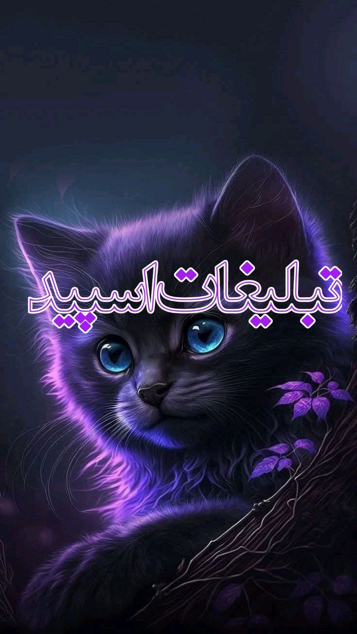 وایلد ولف (21)