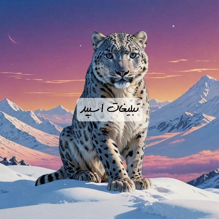 گروه تلگرام چت لاولی بلوچستان
