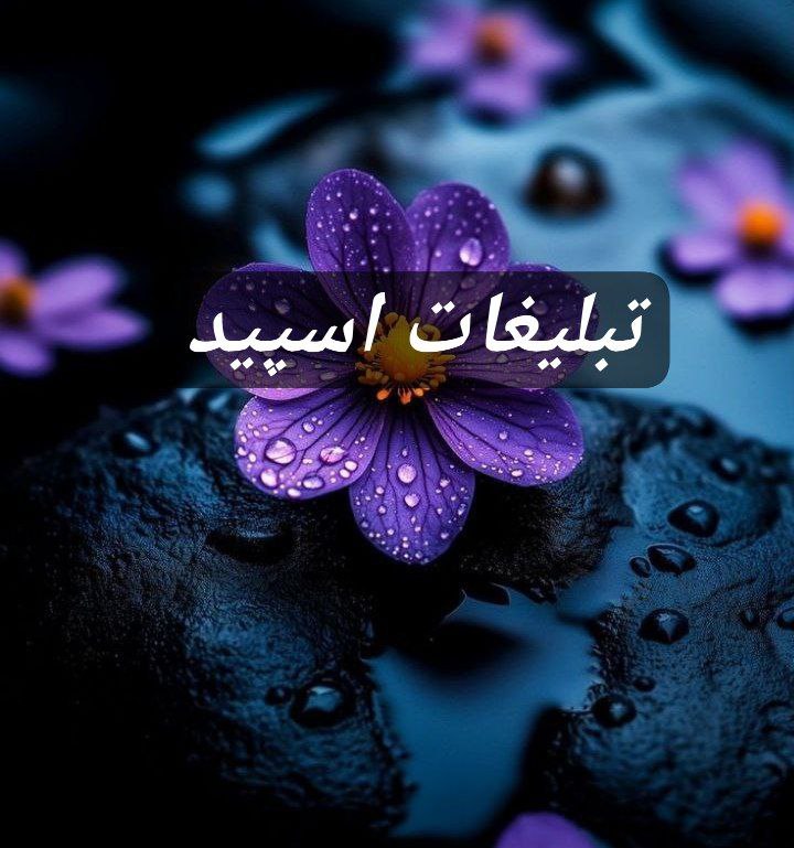 گروه تلگرام چتکده دورهمی 