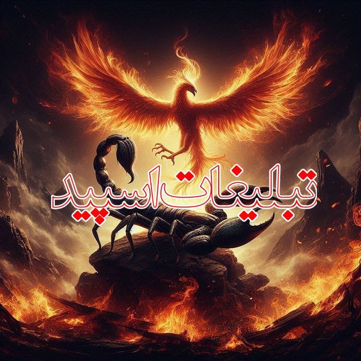 بهترین دوستان (4)