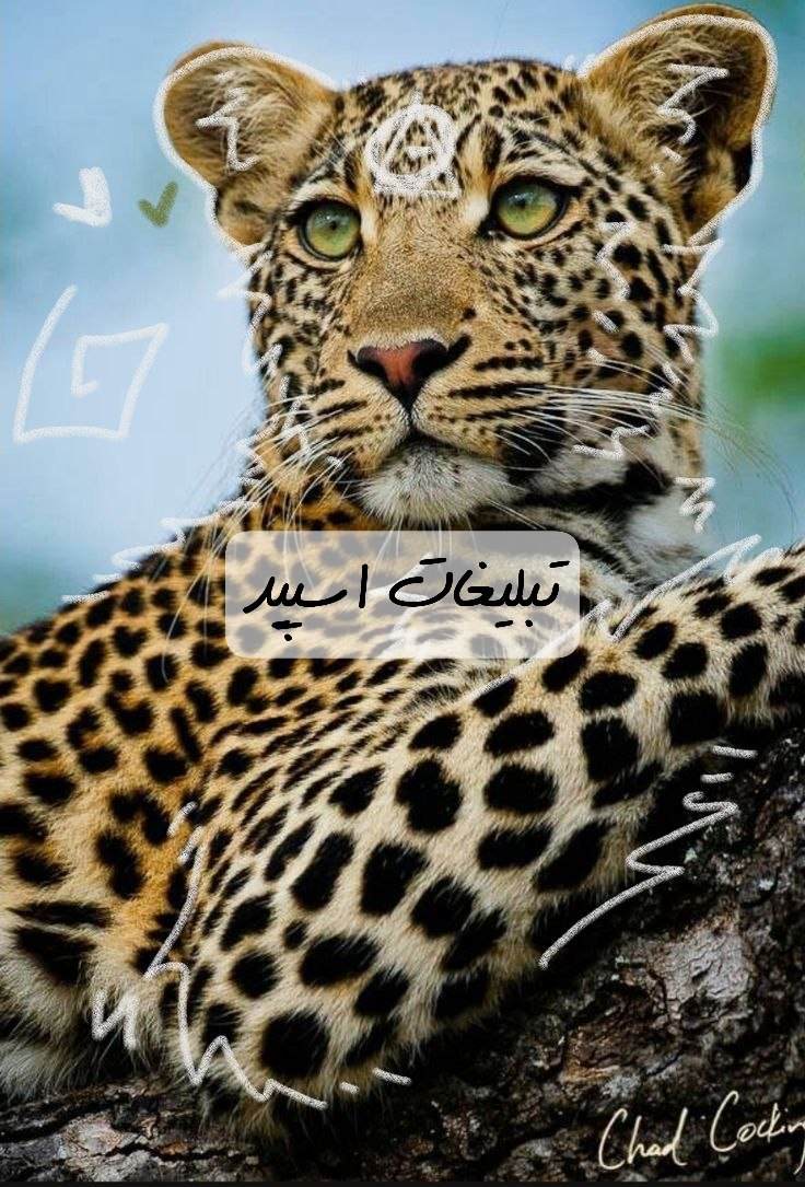 گروه تلگرام کلاب دوستان خوزستان