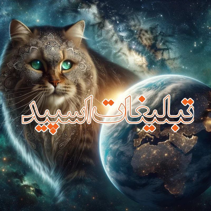وایلد ولف (29)