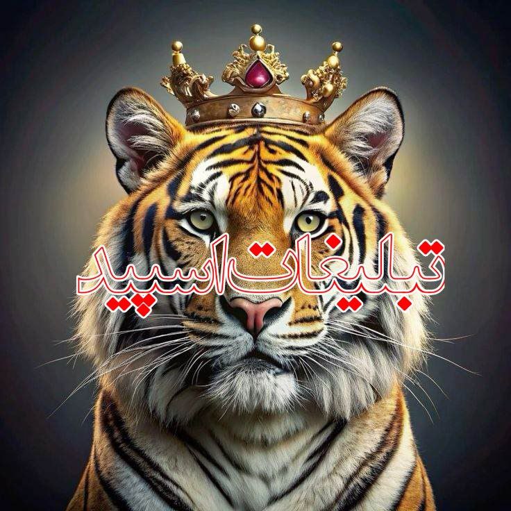 🌼⃟▩꯭ོ⿻ تَِـرَِنَِمَِــَِ عَِشَِـَِقَِ ⿻꯭ⷷ▩ོཽ⃟꯭݊🌼