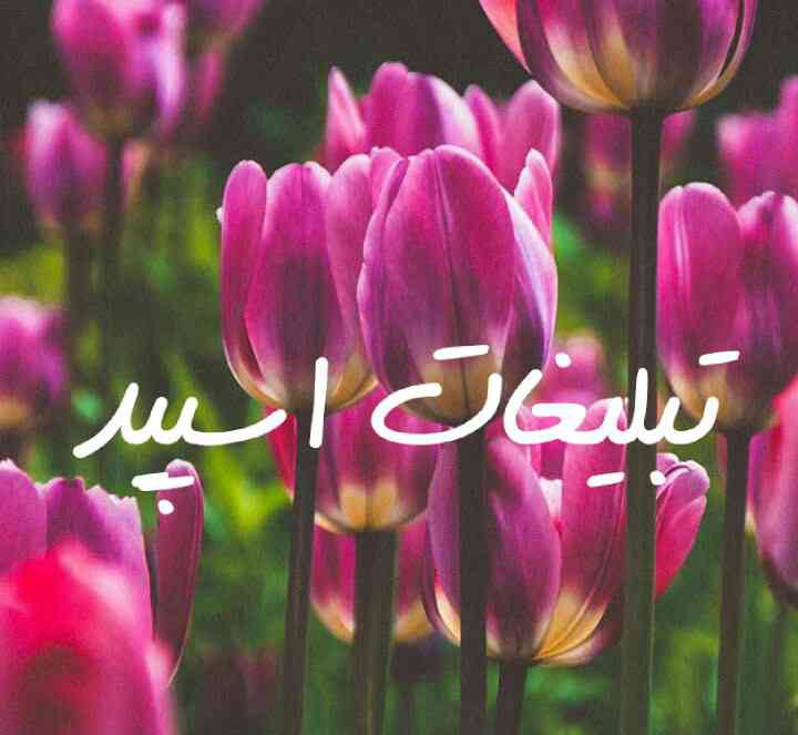 گپ تلگرام کافه کافه دوستی
