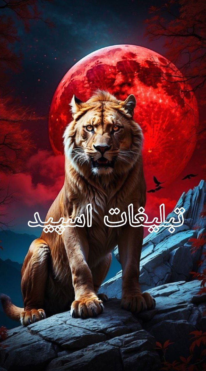 تبلیغات