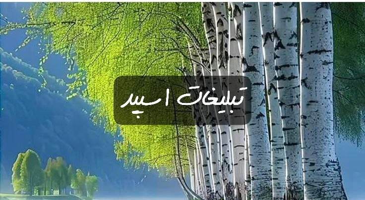 گروه تلگرام عشق ناب