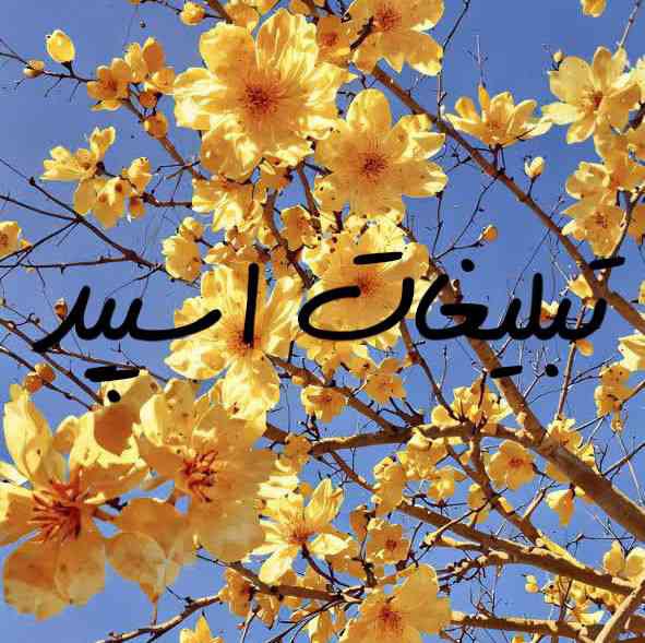 گروه چت تلگرام دورهمی دوستان بامعرفت تهرانی
