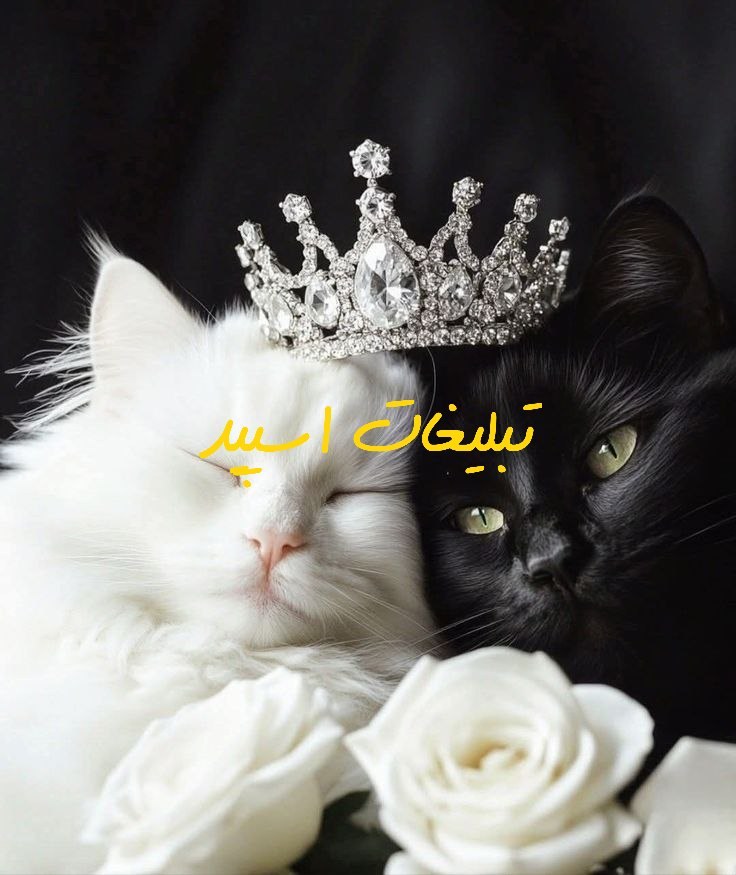 گروه تلگرام دورهمی کرمانشاه