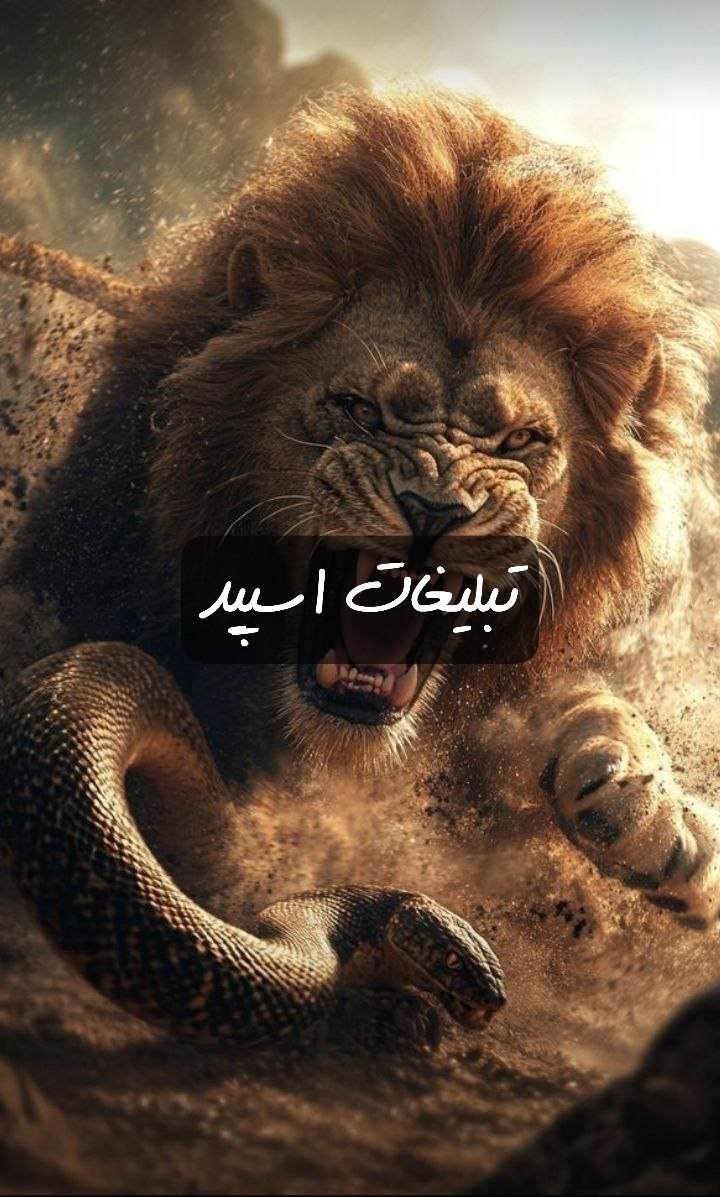 گروه تلگرام کافه شبهای عاشقی
