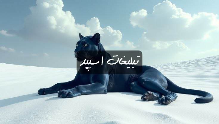 گپ تلگرام قلبهای مشکی