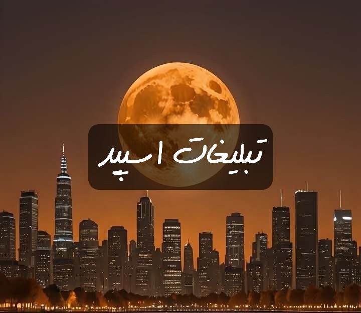 گروه تلگرام دورهمی باب و پاتریک