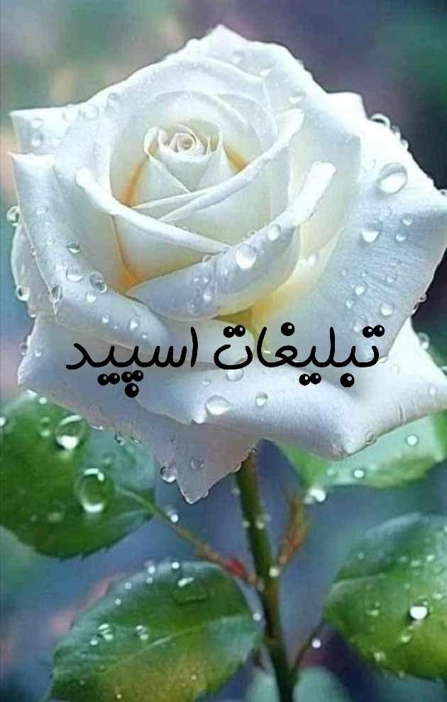 گرروه چت امپراطوری دیاگو