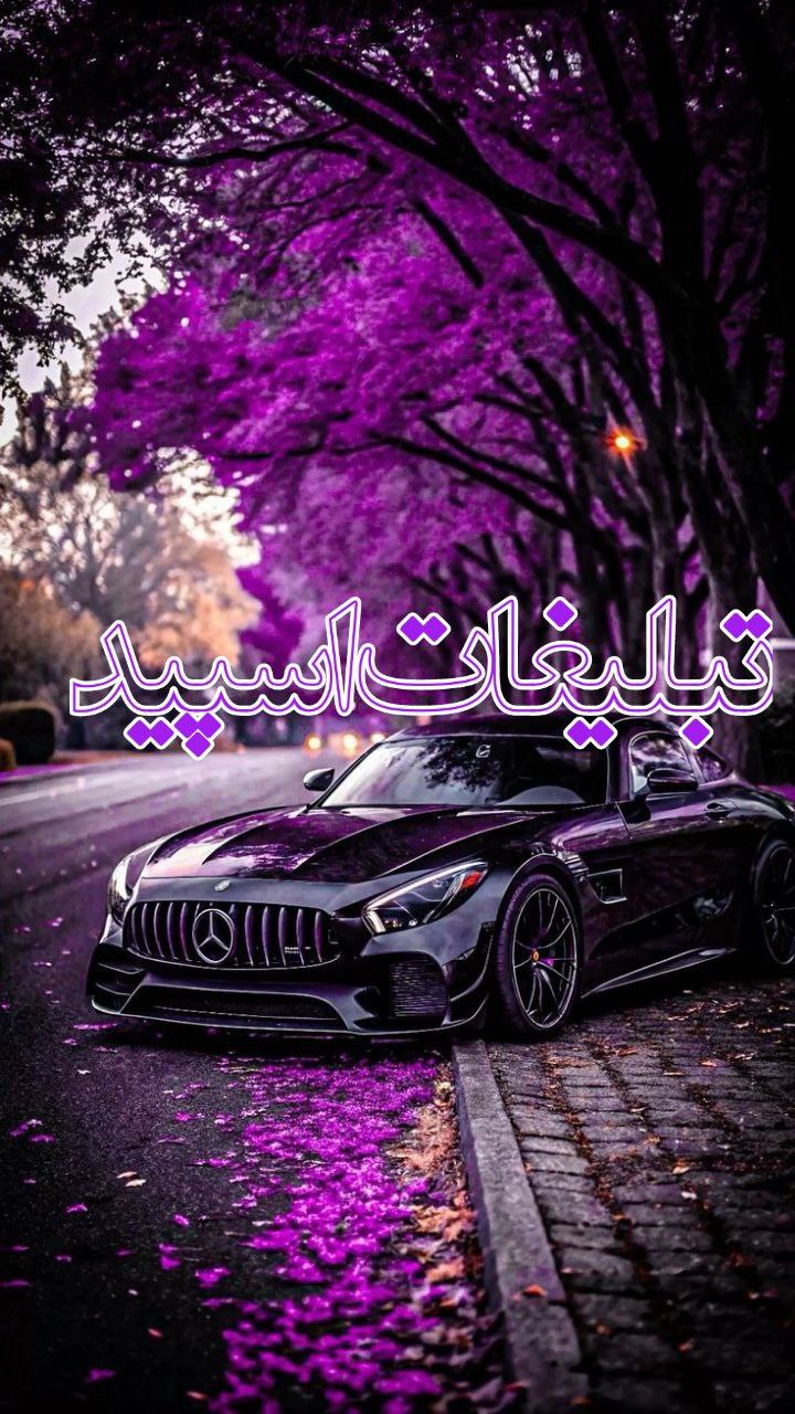 🟢خبر شهر