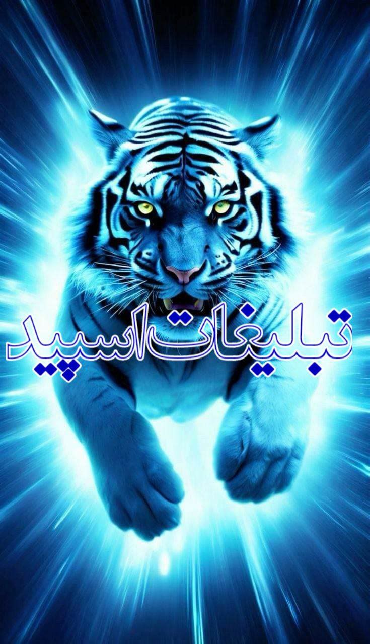 گپ استان فارس