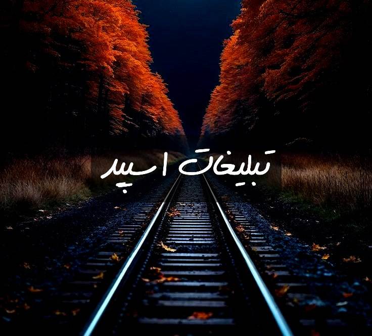 گروه تلگرام one night