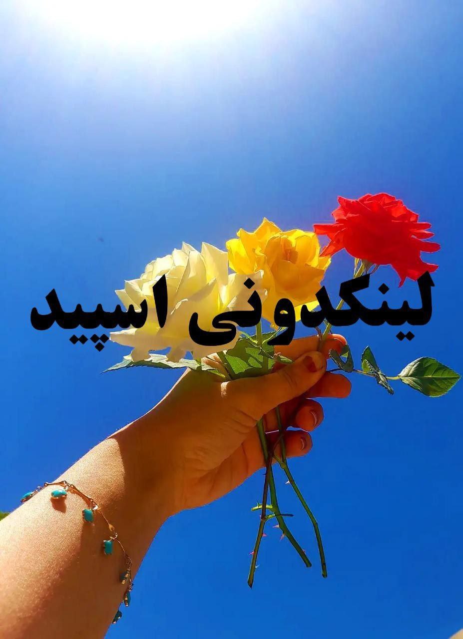 گروه چت تلگرام دورهمی