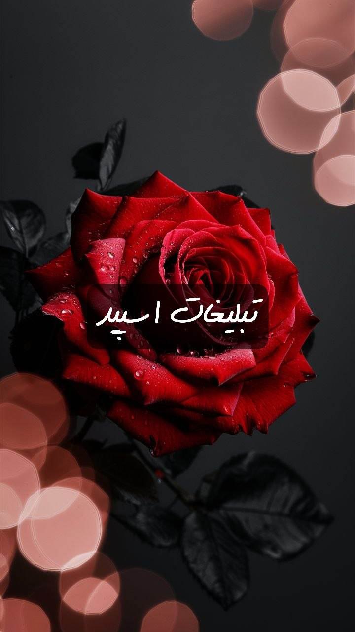 گروه تلگرام مورفین